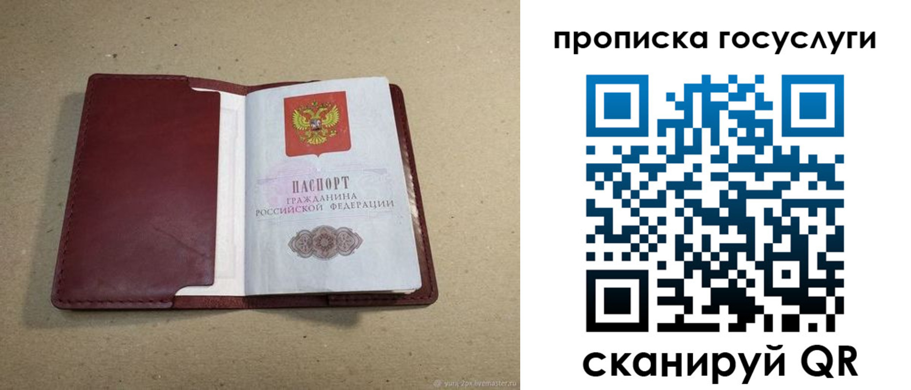 прописка поиск в Моздоке